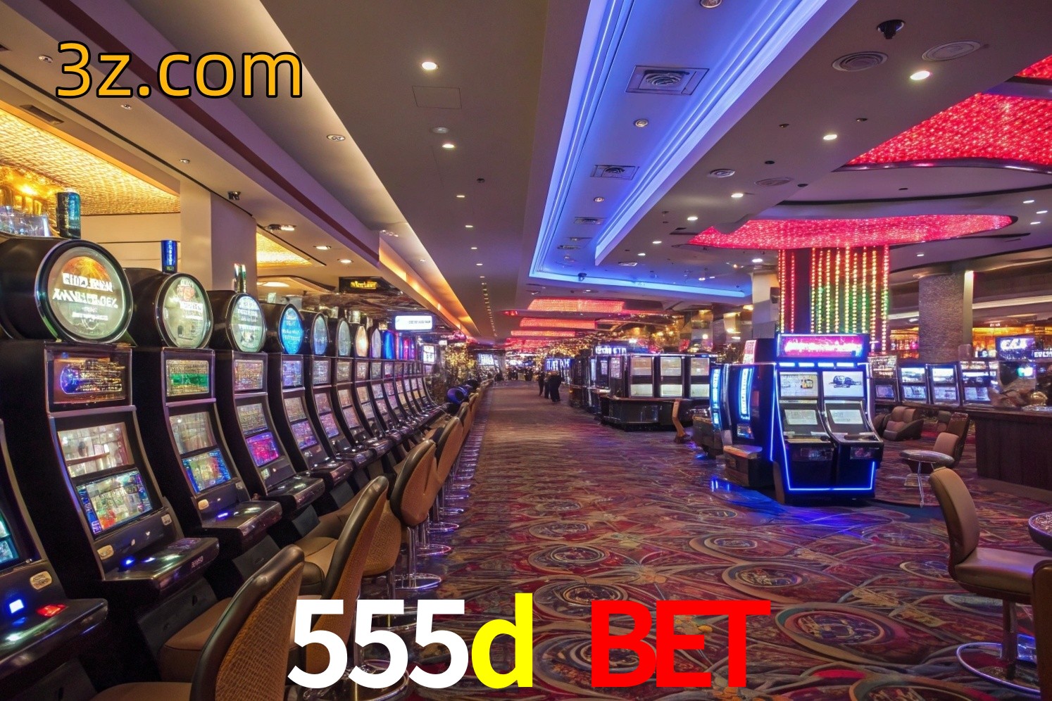  555d bet vip